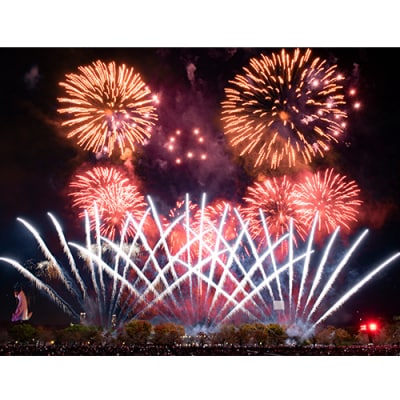 第5回 万博夜空がアートになる日 花火鑑賞チケット パノラマシート ペアチケット(大人2名様分)