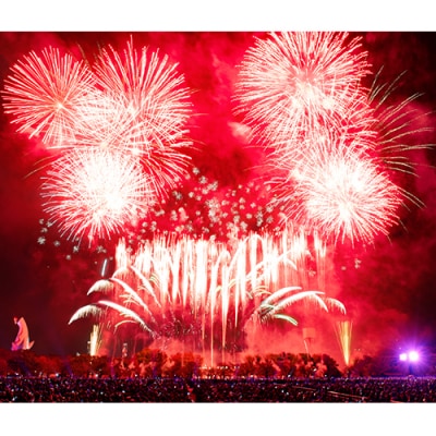 第5回 万博夜空がアートになる日 花火鑑賞チケット パノラマシート(お子様2名分)