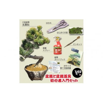 養庄園 盆栽と盆栽道具 初心者入門セット