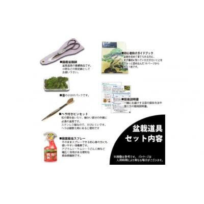 養庄園 盆栽と盆栽道具 初心者入門セット