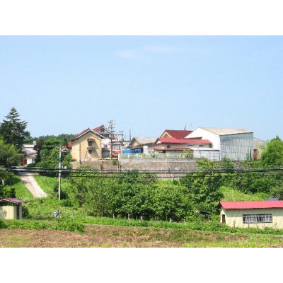 福島県郡山市　雪小町　美山錦造りセット　1800ml×2