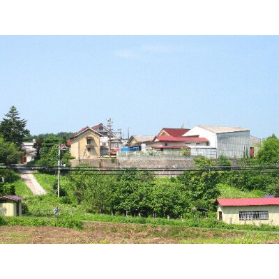 福島県郡山市　雪小町　美山錦造りセット　720ml×2