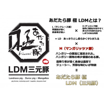 福島県産 あだたら豚 極 LDM 三元豚 豚こま肉 500g×2P