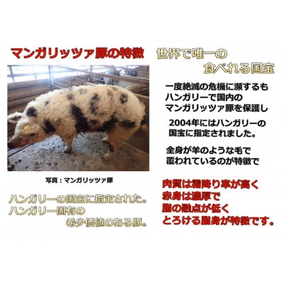 福島県産 あだたら豚 極 LDM 三元豚 豚こま肉 500g×2P