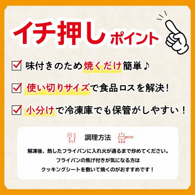 たれ漬け焼肉おかずアソート 10パックセット