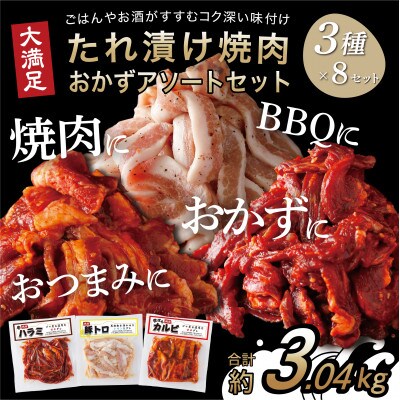 たれ漬け焼肉おかずアソート 24パックセット