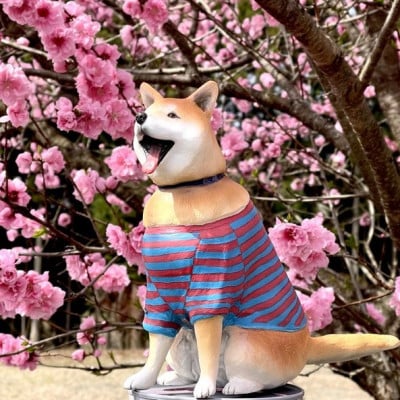 東日本大震災からの動物愛護活動 犬と猫と人と共生を願う絆のアイノカタチ　ワンコモニュメント