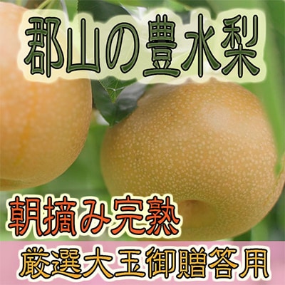 【先行予約】【福島県郡山産】完熟梨 豊水 大玉(10～12玉)