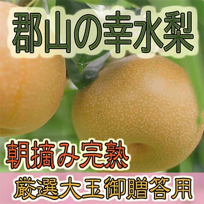 【先行予約】【福島県郡山産】完熟梨 幸水 大玉(10～12玉)