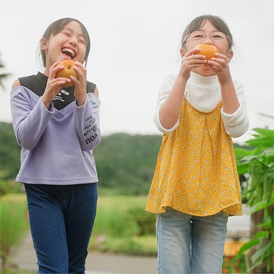 【先行予約】【福島県郡山産】完熟梨 幸水 大玉(10～12玉)