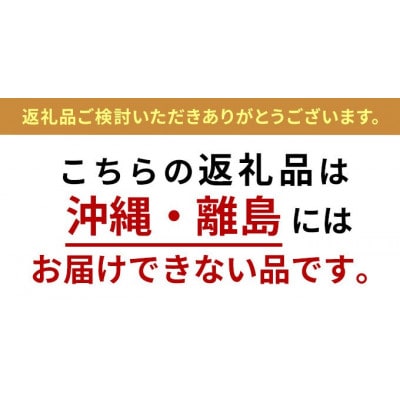 【先行予約】【福島県郡山産】完熟梨 幸水 大玉(10～12玉)