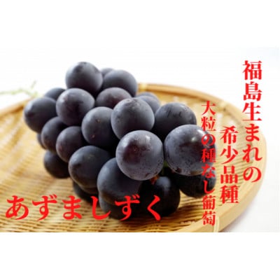 【先行予約】【福島県郡山産】葡萄 あずましずく 約1.5kg以上(5～7房)