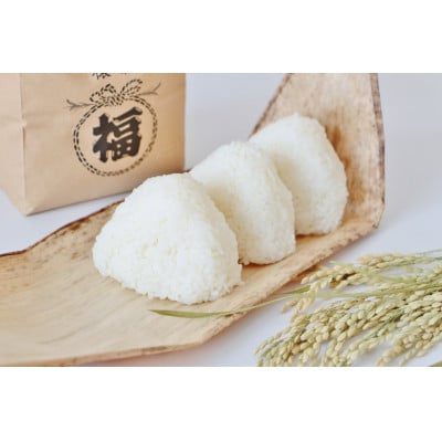令和6年産 福島県郡山産ミルキークイーン(精米)5kg