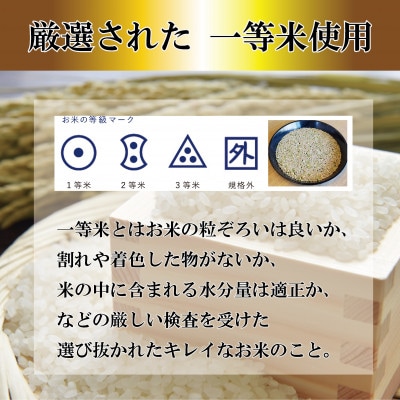 令和7年産 福島県郡山産ミルキークイーン(精米) 5kg