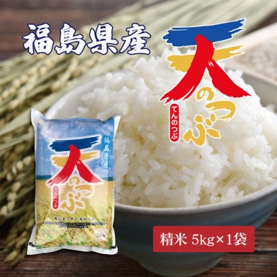 令和7年産 福島県郡山産天のつぶ(精米)5kg