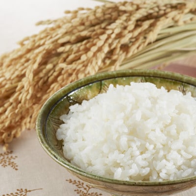 令和7年産 福島県郡山産あさか舞こしひかり 精米 5kg×2