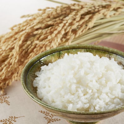 令和7年産 福島県郡山産 あさか舞 ひとめぼれ 精米 5kg×2