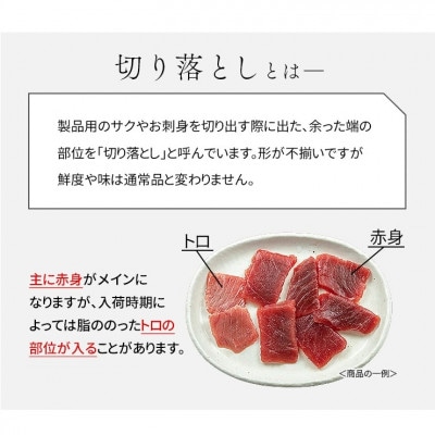 天然本マグロ 切り落とし 800g(80g×10パック)