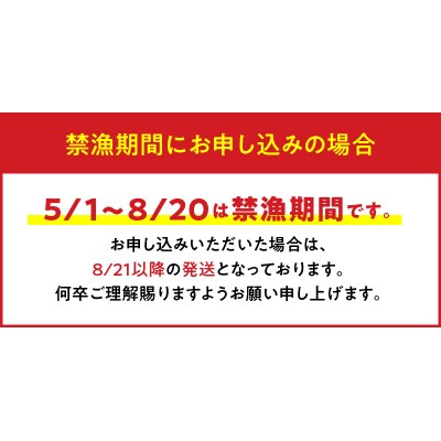 【漁師直送】活き〆冷凍　天然伊勢海老300グラム(1尾)