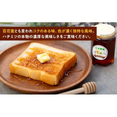 日本蜜蜂のハチミツ100%!はちみつ(2本)  高級 自然食品 無添加 ニホンミツバチ