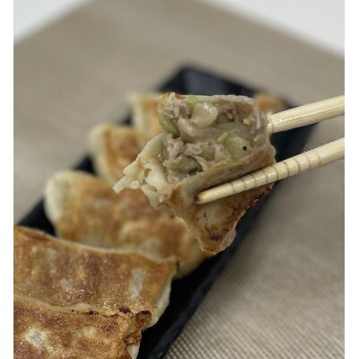 旨さと肉汁のコラボ もりもりあいもりパック　肉餃子　野菜餃子