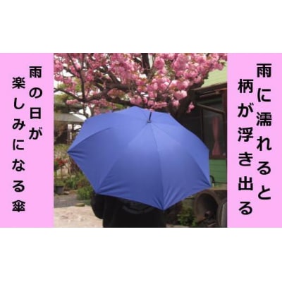 とち介の雨日和～雨の日が楽しみになる傘～(長傘)