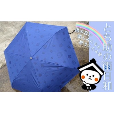 とち介の雨日和～雨の日が楽しみになる傘～(折りたたみ傘)