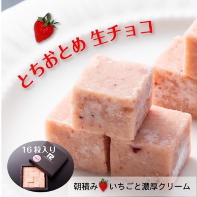 とちおとめ 生チョコレート(16粒入り) 栃木 とちぎ産 いちご イチゴ 苺 スイーツ