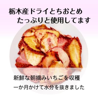 とちおとめ 生チョコレート(16粒入り) 栃木 とちぎ産 いちご イチゴ 苺 スイーツ