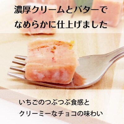 とちおとめ 生チョコレート(16粒入り) 栃木 とちぎ産 いちご イチゴ 苺 スイーツ
