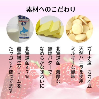 とちおとめ 生チョコレート(16粒入り) 栃木 とちぎ産 いちご イチゴ 苺 スイーツ