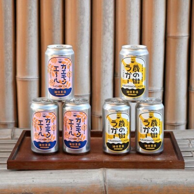 江戸時代創業の味噌屋が造る!栃木の地ビール2種詰合せ 【6缶セット】