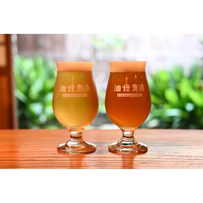 江戸時代創業の味噌屋が造る!栃木の地ビール2種詰合せ 【6缶セット】