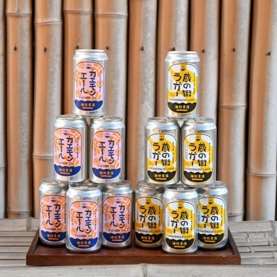 江戸時代創業の味噌屋が造る!栃木の地ビール2種詰合せ【12缶セット】