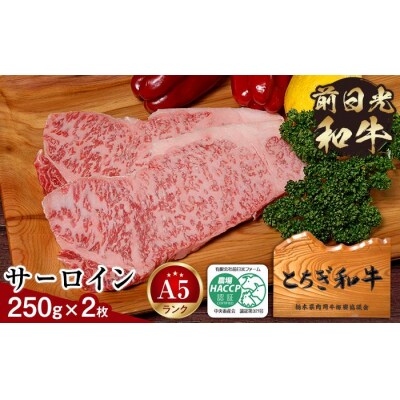 とちぎ和牛・前日光和牛(サーロイン250g 2枚)