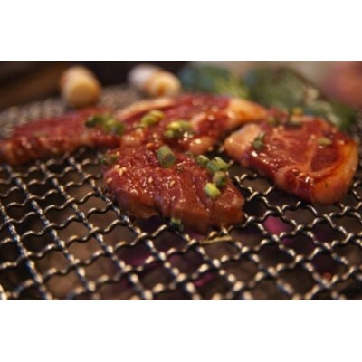 とちぎ和牛・前日光和牛(焼き肉用カルビ1kg)