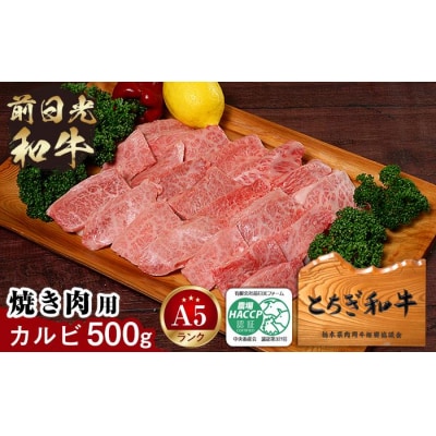とちぎ和牛・前日光和牛(焼き肉用カルビ500g)