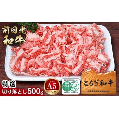とちぎ和牛・前日光和牛(特選切り落とし500g)