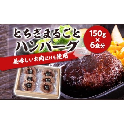 とちぎまるごとハンバーグ150g × 6食　自家製ソース6袋付き 