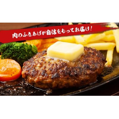 とちぎまるごとハンバーグ150g × 6食　自家製ソース6袋付き 