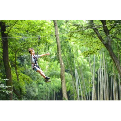 【4名様分】森の空中散歩!フォレストアドベンチャー・おおひら　体験チケット(初級コース)