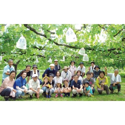 七ふしぎ農業体験(7品)