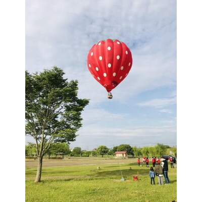 熱気球搭乗体験(係留フライト)