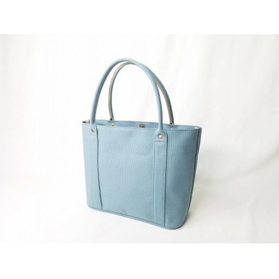 【いちひこ帆布】 ミニトート/水色