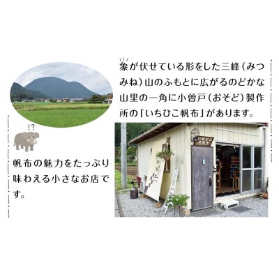 【いちひこ帆布】 ミニボストン/ネイビー