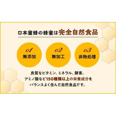 日本蜜蜂のハチミツ100%!はちみつ1.2kg