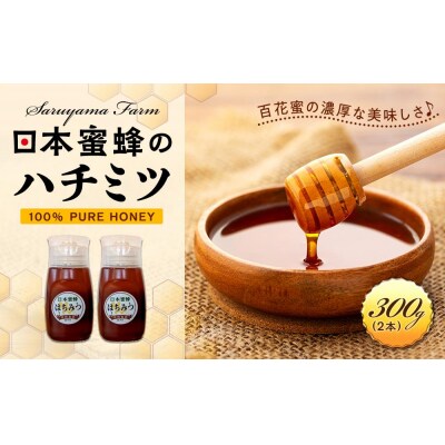 日本蜜蜂のハチミツ100%!はちみつ(逆さ容器300g2本)
