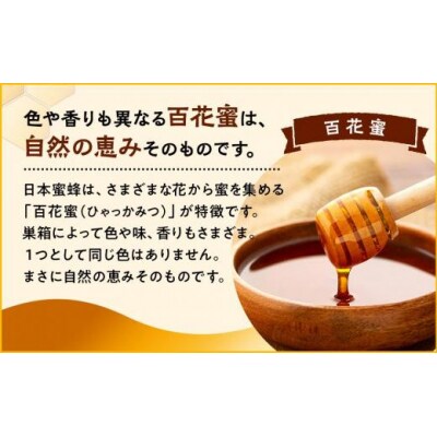 日本蜜蜂のハチミツ100%!はちみつ(逆さ容器300g2本)