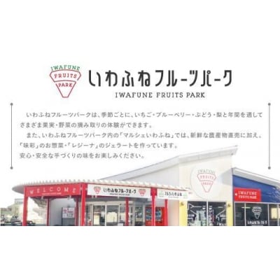 【先行予約】栃木市岩舟産とちあいか