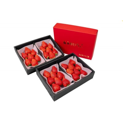 甘くて大きい!長谷川いちご園 スカイベリー & とちあいか セット 計4パック